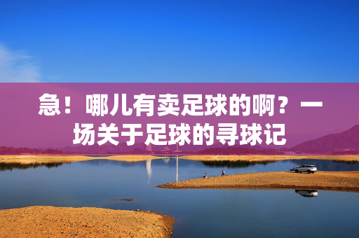 急！哪儿有卖足球的啊？一场关于足球的寻球记