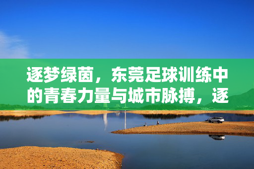 逐梦绿茵，东莞足球训练中的青春力量与城市脉搏，逐梦绿茵，东莞足球训练中的青春力量与城市脉搏