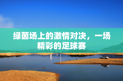 绿茵场上的激情对决，一场精彩的足球赛