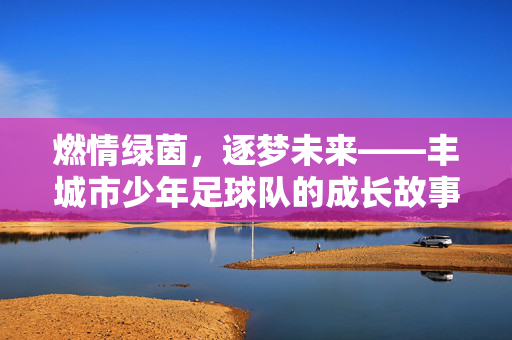 燃情绿茵，逐梦未来——丰城市少年足球队的成长故事，燃情绿茵，逐梦未来——丰城市少年足球队的成长故事