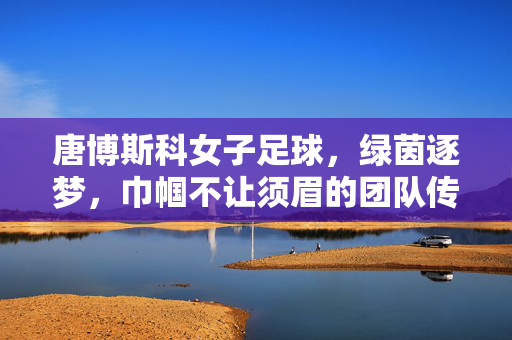 唐博斯科女子足球，绿茵逐梦，巾帼不让须眉的团队传奇，唐博斯科女子足球，绿茵逐梦，巾帼不让须眉的团队传奇