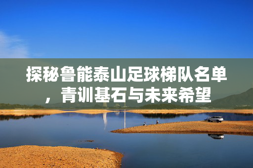 探秘鲁能泰山足球梯队名单，青训基石与未来希望