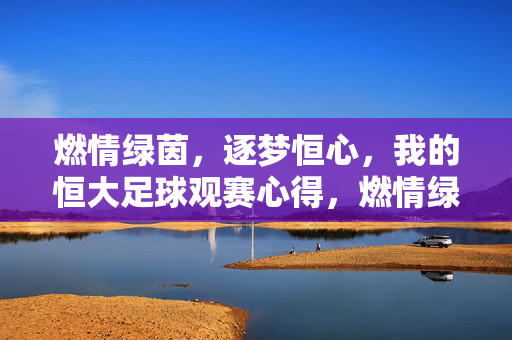燃情绿茵,逐梦恒心,我的恒大足球观赛心得,燃情绿茵,逐梦恒心,我的恒大足球观赛心得