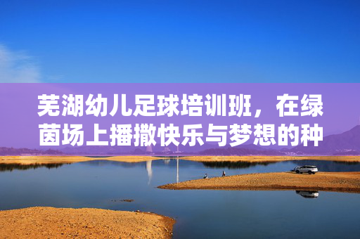 芜湖幼儿足球培训班，在绿茵场上播撒快乐与梦想的种子