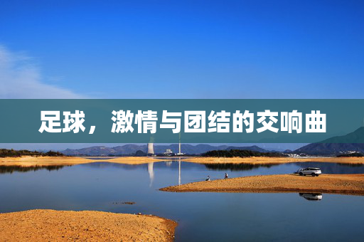 足球，激情与团结的交响曲