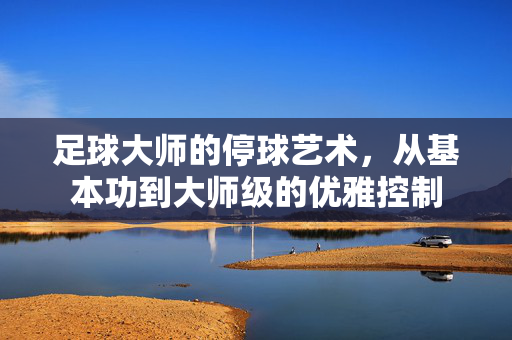 足球大师的停球艺术，从基本功到大师级的优雅控制