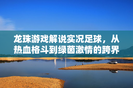 龙珠游戏解说实况足球，从热血格斗到绿茵激情的跨界碰撞与融合，龙珠游戏与实况足球的跨界融合，热血格斗与绿茵激情的碰撞