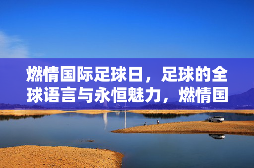 燃情国际足球日，足球的全球语言与永恒魅力，燃情国际足球日，足球的全球语言与永恒魅力