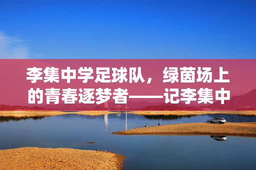 李集中学足球队，绿茵场上的青春逐梦者——记李集中学足球队成员，李集中学足球队，绿茵场上的青春逐梦者