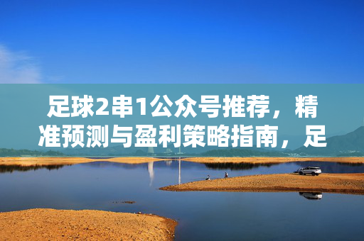 足球2串1公众号推荐，精准预测与盈利策略指南，足球2串1公众号推荐，精准预测与盈利策略指南