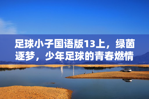 足球小子国语版13上，绿茵逐梦，少年足球的青春燃情，足球小子国语版13上，绿茵逐梦，少年足球的青春燃情