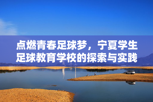 点燃青春足球梦，宁夏学生足球教育学校的探索与实践——宁夏学生足球教育学校的发展历程与教育价值，点燃青春足球梦，宁夏学生足球教育学校的探索与实践——发展历程与教育价值