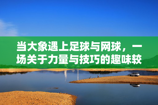 当大象遇上足球与网球，一场关于力量与技巧的趣味较量，大象遇上足球与网球，一场力量与技巧的趣味较量