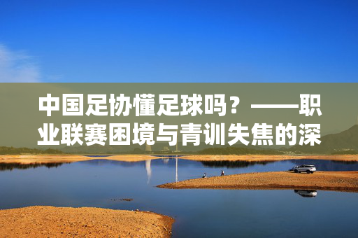 中国足协懂足球吗？——职业联赛困境与青训失焦的深层反思，中国足协懂足球吗？——职业联赛困境与青训失焦的深层反思
