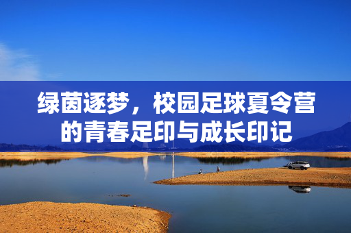 绿茵逐梦，校园足球夏令营的青春足印与成长印记