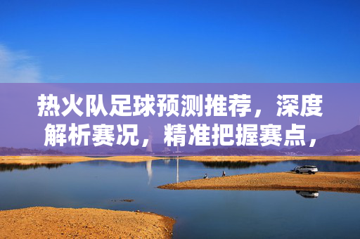 热火队足球预测推荐，深度解析赛况，精准把握赛点，助你赢在起跑线