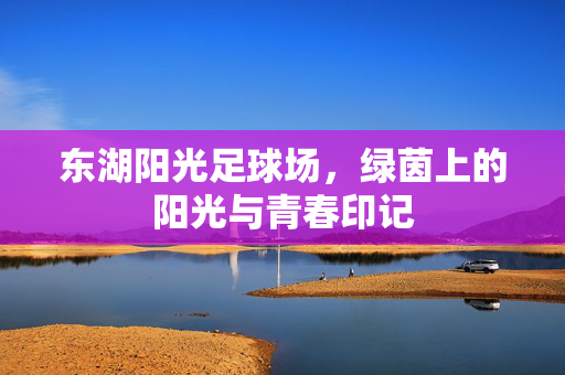 东湖阳光足球场，绿茵上的阳光与青春印记