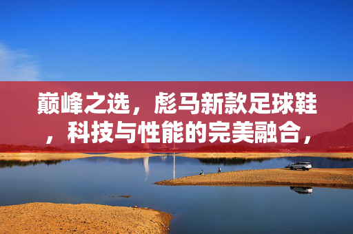 巅峰之选，彪马新款足球鞋，科技与性能的完美融合，点燃足球激情