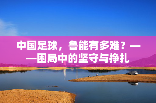 中国足球，鲁能有多难？——困局中的坚守与挣扎