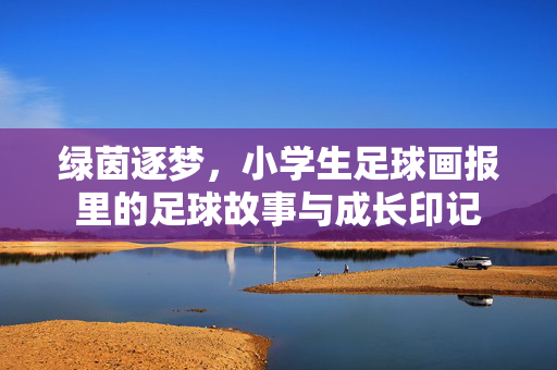 绿茵逐梦，小学生足球画报里的足球故事与成长印记
