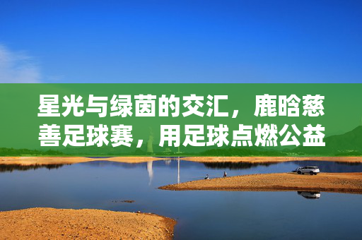 星光与绿茵的交汇，鹿晗慈善足球赛，用足球点燃公益的温暖火种