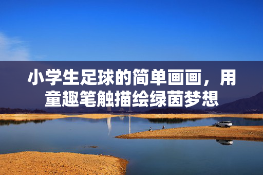 小学生足球的简单画画，用童趣笔触描绘绿茵梦想