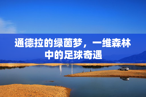 通德拉的绿茵梦，一维森林中的足球奇遇