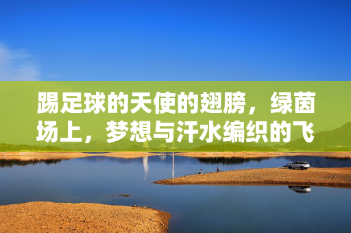 踢足球的天使的翅膀，绿茵场上，梦想与汗水编织的飞翔诗篇