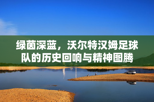 绿茵深蓝，沃尔特汉姆足球队的历史回响与精神图腾