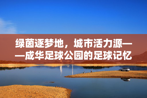 绿茵逐梦地，城市活力源——成华足球公园的足球记忆与城市脉搏