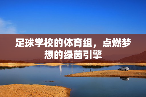 足球学校的体育组，点燃梦想的绿茵引擎
