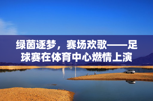 绿茵逐梦，赛场欢歌——足球赛在体育中心燃情上演