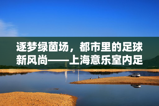 逐梦绿茵场，都市里的足球新风尚——上海意乐室内足球场的激情体验，逐梦绿茵场，都市里的足球新风尚——上海意乐室内足球场的激情体验