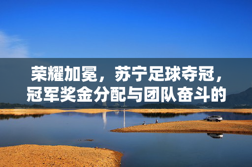 荣耀加冕，苏宁足球夺冠，冠军奖金分配与团队奋斗的荣耀见证