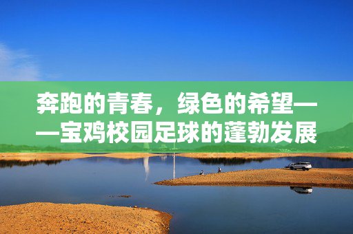 奔跑的青春，绿色的希望——宝鸡校园足球的蓬勃发展