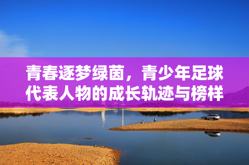 青春逐梦绿茵，青少年足球代表人物的成长轨迹与榜样力量