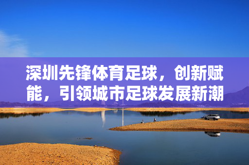 深圳先锋体育足球，创新赋能，引领城市足球发展新潮流，深圳先锋体育足球，创新赋能，引领城市足球发展新潮流