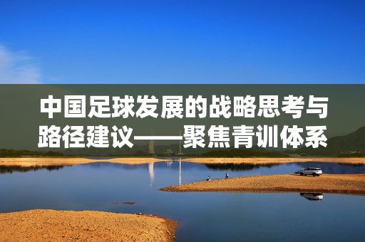 中国足球发展的战略思考与路径建议——聚焦青训体系、职业联赛与市场化的协同推进，中国足球发展的战略思考与路径建议，聚焦青训体系、职业联赛与市场化的协同推进
