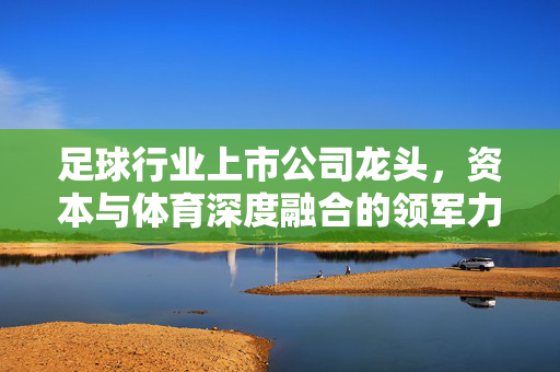 足球行业上市公司龙头，资本与体育深度融合的领军力量与行业前瞻，足球行业上市公司龙头，资本与体育深度融合的领军力量及行业前瞻