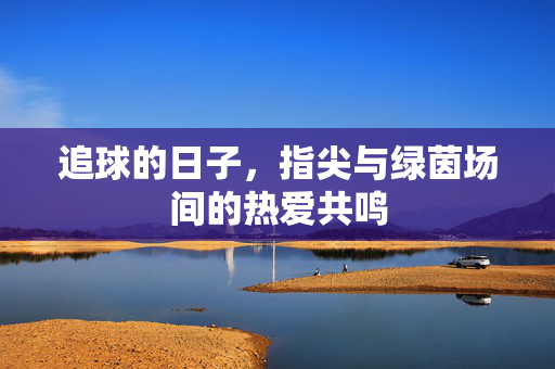 追球的日子，指尖与绿茵场间的热爱共鸣