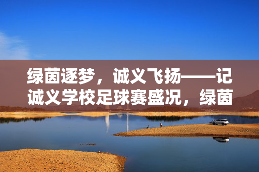 绿茵逐梦，诚义飞扬——记诚义学校足球赛盛况，绿茵逐梦，诚义飞扬——记诚义学校足球赛盛况