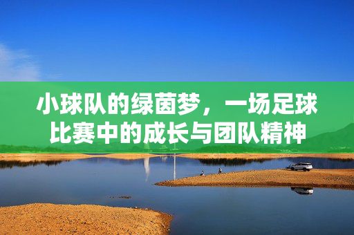 小球队的绿茵梦，一场足球比赛中的成长与团队精神