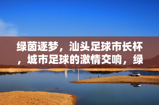 绿茵逐梦，汕头足球市长杯，城市足球的激情交响，绿茵逐梦，汕头足球市长杯，城市足球的激情交响