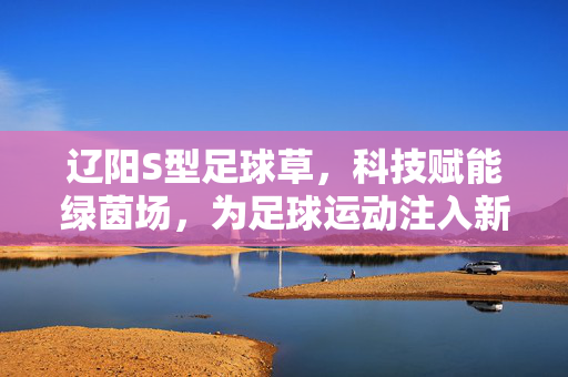 辽阳S型足球草，科技赋能绿茵场，为足球运动注入新活力