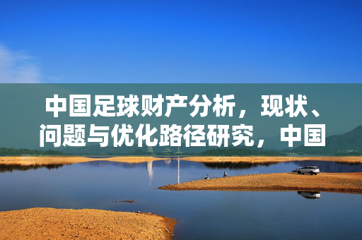 中国足球财产分析，现状、问题与优化路径研究，中国足球财产分析，现状、问题与优化路径研究