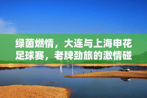 绿茵燃情，大连与上海申花足球赛，老牌劲旅的激情碰撞与城市足球对话