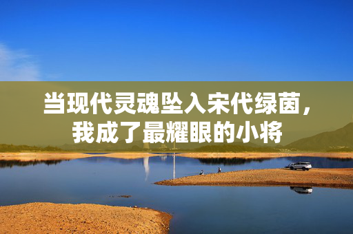 当现代灵魂坠入宋代绿茵，我成了最耀眼的小将
