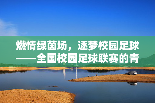 燃情绿茵场，逐梦校园足球——全国校园足球联赛的青春交响曲，燃情绿茵场，逐梦校园足球——全国校园足球联赛的青春交响曲