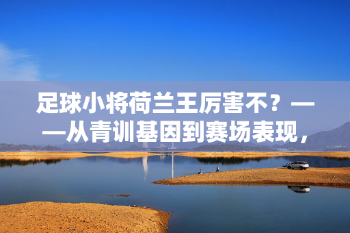 足球小将荷兰王厉害不？——从青训基因到赛场表现，解析他的足球天赋与实力，足球小将荷兰王厉害不？——从青训基因到赛场表现，解析他的足球天赋与实力