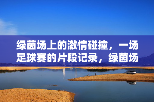 绿茵场上的激情碰撞，一场足球赛的片段记录，绿茵场上的激情碰撞，一场足球赛的片段记录
